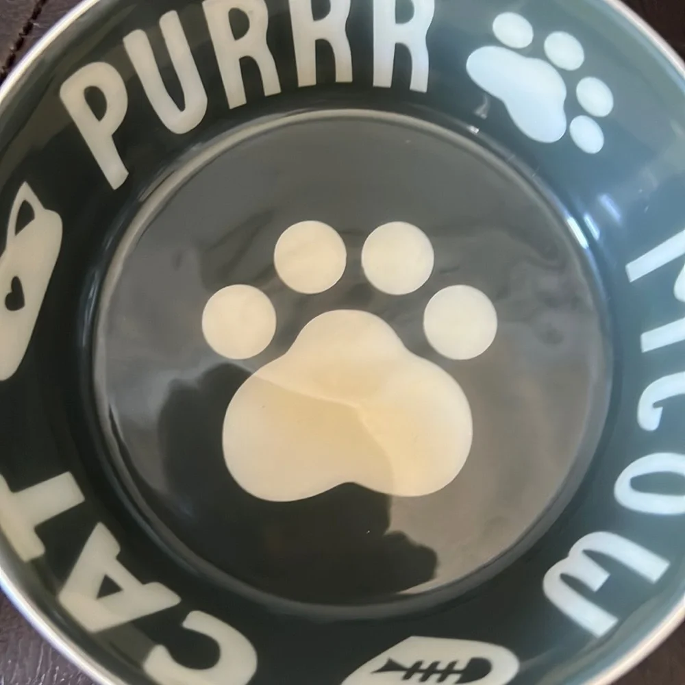 Pre-owned set of two cat food bowls, outside of bowl is stainless steel.